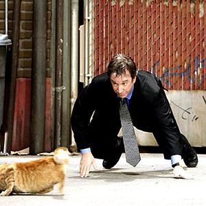 Bilder Brian Robbins