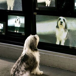 Bilder Brian Robbins