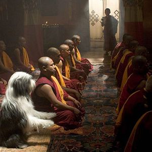 Bilder Brian Robbins