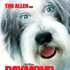 Bilder Brian Robbins