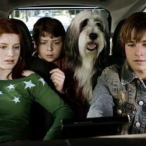 Bilder Brian Robbins