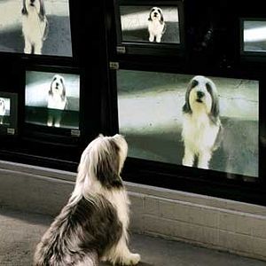 Bilder Brian Robbins