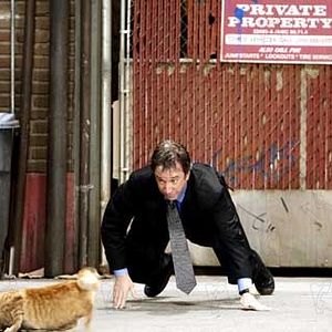 Bilder Brian Robbins