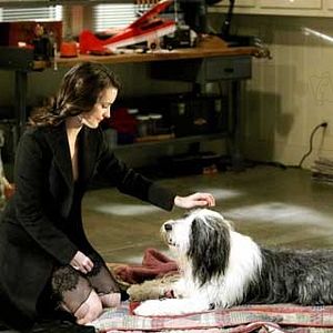 Bilder Brian Robbins