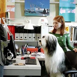 Bilder Brian Robbins