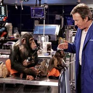 Bilder Brian Robbins