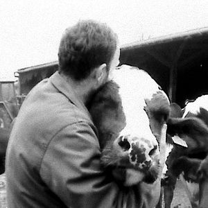 Bilder Pierre Creton