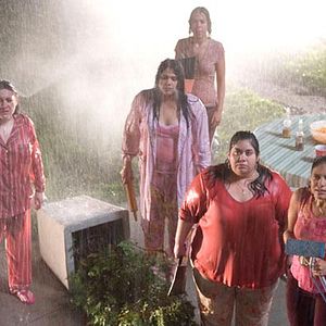 Bilder Natasha Perez