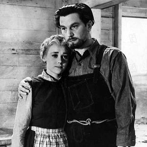 Bilder Anton Walbrook