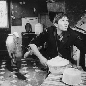 Bilder Roman Polanski