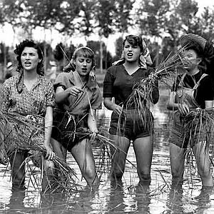 Bilder Silvana Mangano