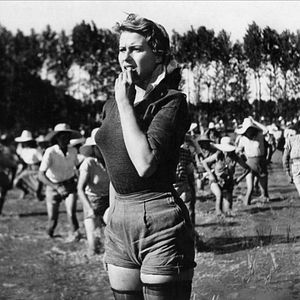 Bilder Bitterer Reis