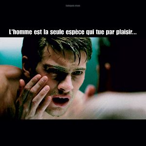 Bilder Andreas Wilson