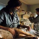 Bilder Andreas Wilson