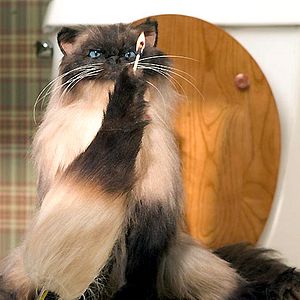 Bilder Jason Friedberg