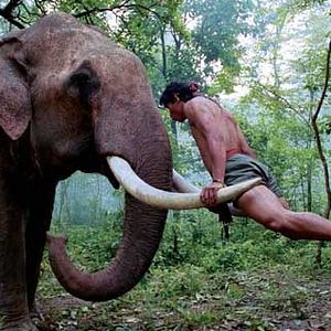 Bilder Prachya Pinkaew