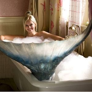 Bilder Elizabeth Allen