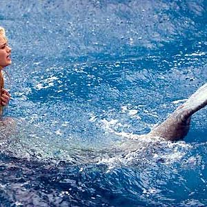 Bilder Elizabeth Allen