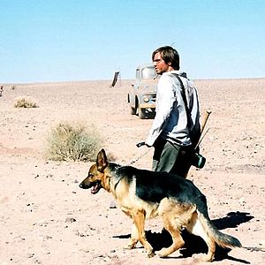 Bilder Aaron Stanford