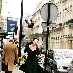 Bilder David Frankel