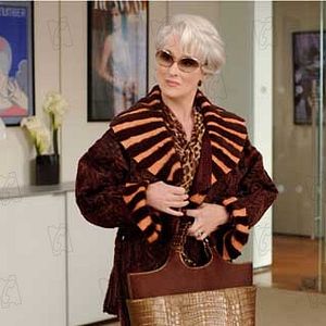 Bilder David Frankel