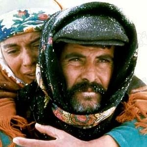 Bilder Şerif Gören