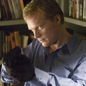 Bilder Paul Bettany