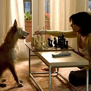 Bilder Alejandro Agresti