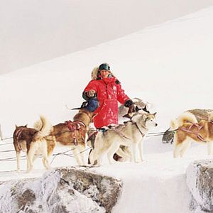 Bilder Frank Marshall