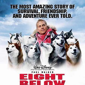 Bilder Antarctica - Gefangen im Eis