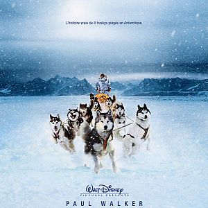 Bilder Antarctica - Gefangen im Eis