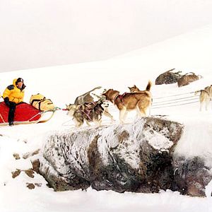 Bilder Frank Marshall