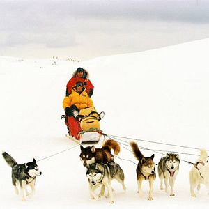 Bilder Frank Marshall