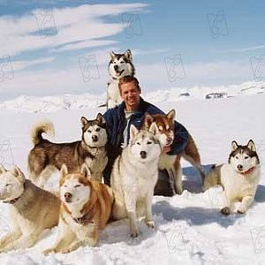 Bilder Frank Marshall