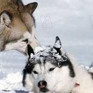 Bilder Frank Marshall