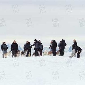 Bilder Frank Marshall