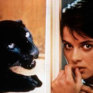 Bilder Katzenmenschen