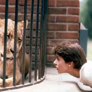 Bilder Katzenmenschen