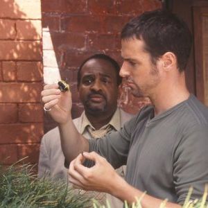 Bilder Jeffrey Pierce