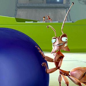 Bilder Lucas, der Ameisenschreck