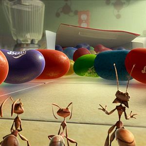 Bilder Lucas, der Ameisenschreck