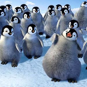 Bilder Happy Feet