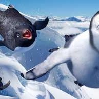 Bilder George Miller