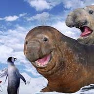 Bilder George Miller