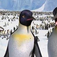 Bilder George Miller