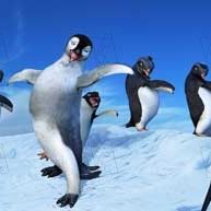 Bilder George Miller