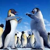 Bilder George Miller