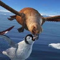 Bilder George Miller