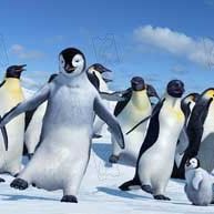 Bilder George Miller