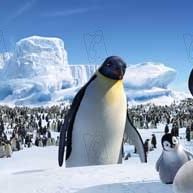 Bilder George Miller